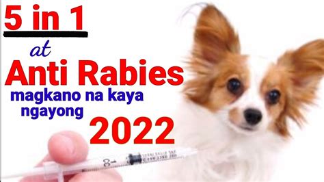 Ilang oras dapat mainject ng anti rabies ang taong nkagat